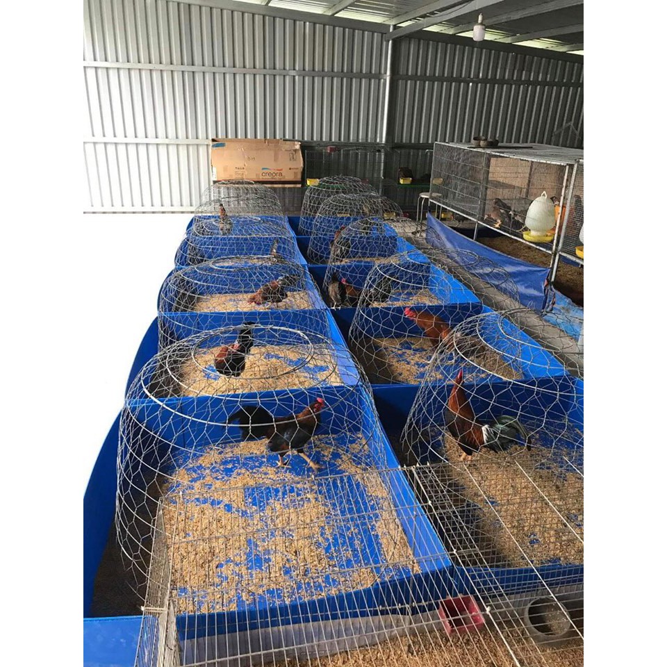 Khay Nhựa Lắp Ráp Bền Đẹp Rẻ
