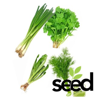 Combo Các Loại Rau Gia Vị (Hành Lá, Ngò Rí, Thì Là, Ngò Gai)