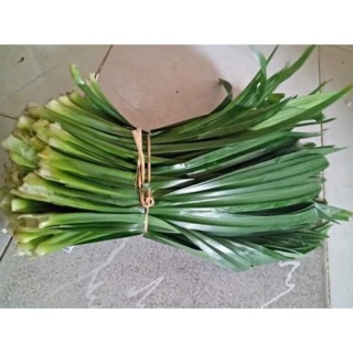 (Mã NSF02P125 giảm 25K) Lá dứa nếp tươi 1KG