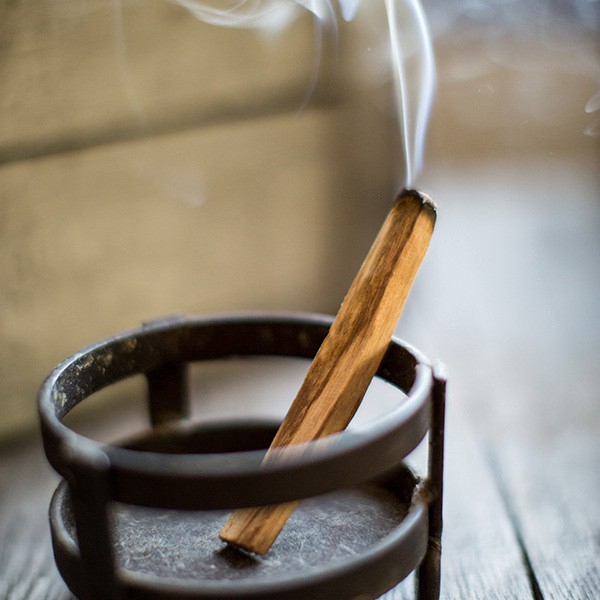 Palo Santo - Gỗ trắc xanh - Gỗ thánh Peru