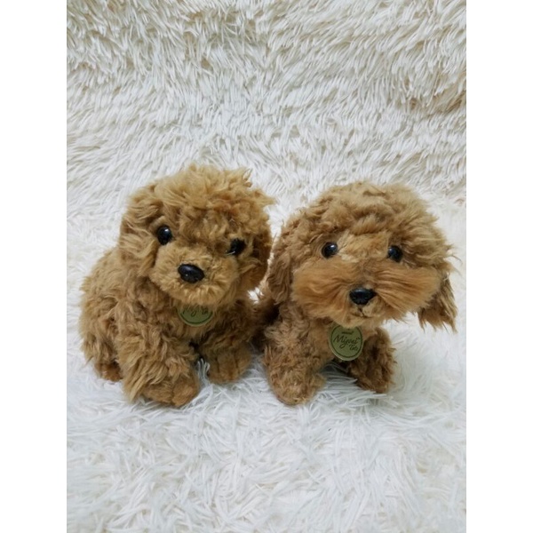 Gấu bông con chó Poodle giống như thật 35cm