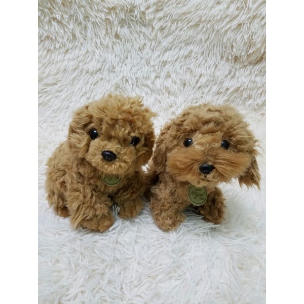 gấu bông con chó Poodle giống như thật 35cm