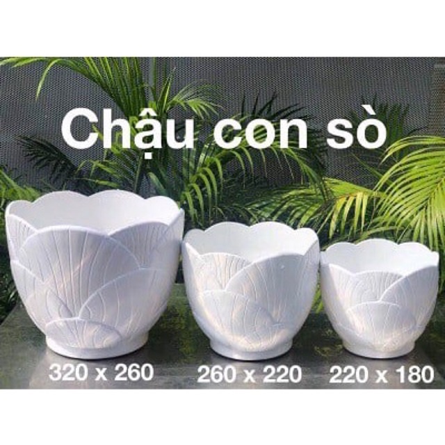 Chậu nhựa Sò trắng đk 14,22,26cm nhựa dày cao cấp