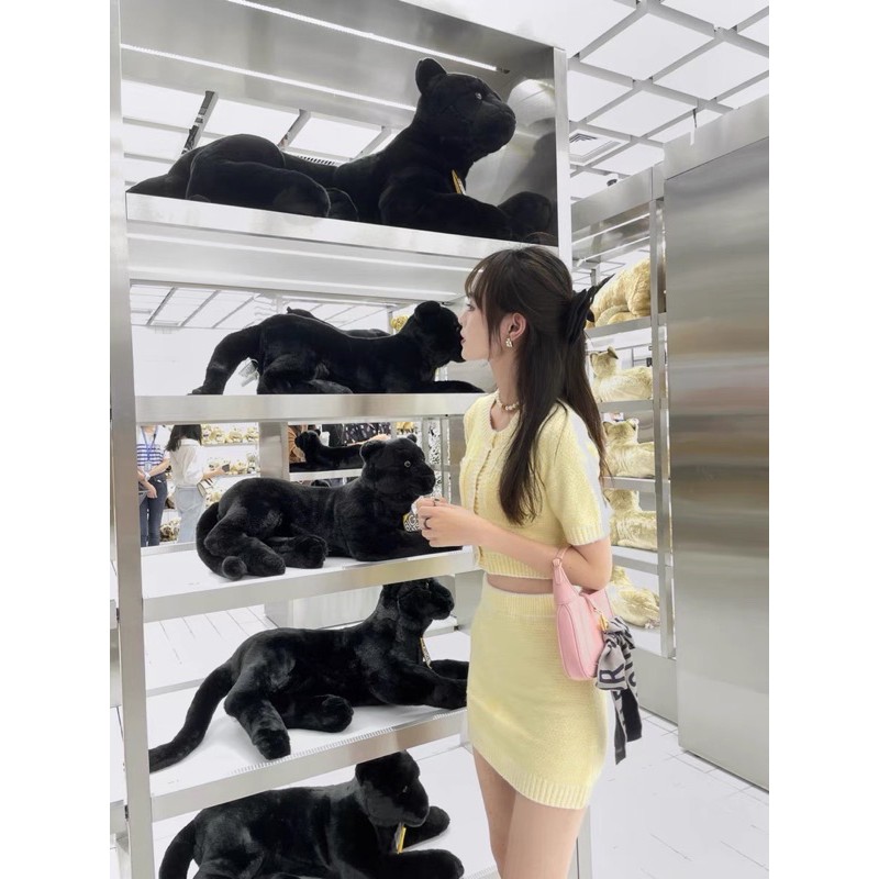 Sẵn set 2 món áo chân váy dệt tay ngắn xinh ( có ảnh thật) | BigBuy360 - bigbuy360.vn