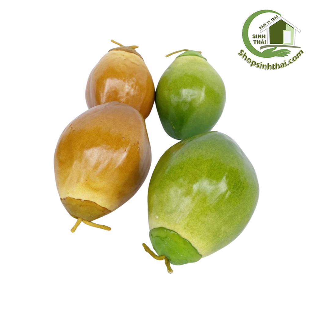 Trái dừa xiêm màu nâu và màu xanh - quả dừa giả cao cấp - Chọn loại
