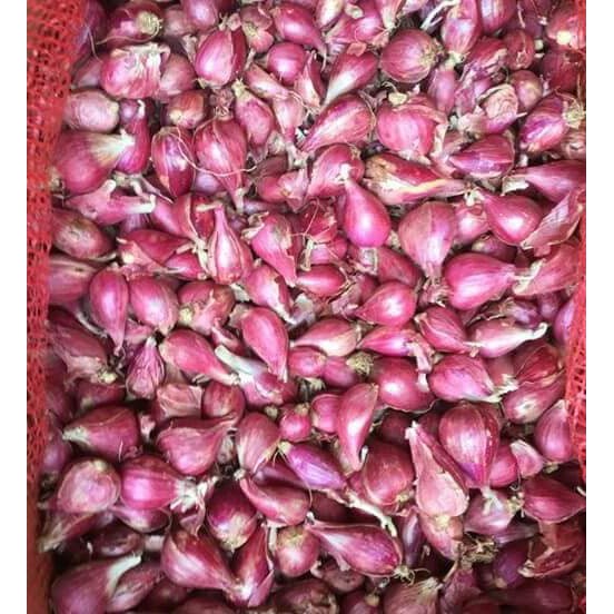 [Mã 267FMCGSALE giảm 8% đơn 500K] Hành Tím Lý Sơn Quảng Ngãi 0.5KG | BigBuy360 - bigbuy360.vn