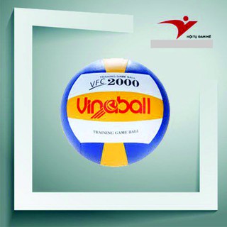Quả bóng chuyền vb2000