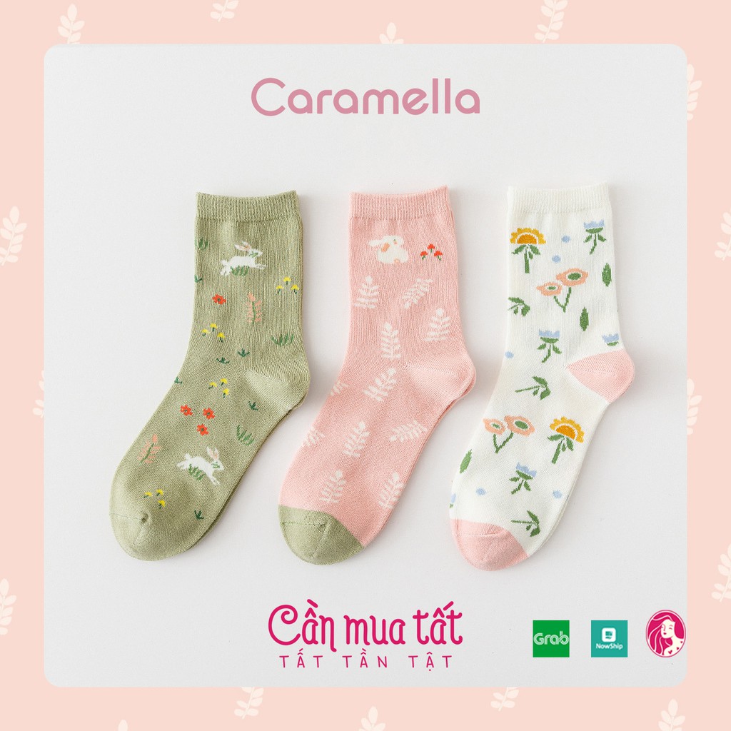 Tất nữ cổ cao CARAMELLA, set vớ nữ cao cổ 3 đôi chủ đề Thỏ Xanh Hồng kèm túi zip xinh xắn, mẫu tất đẹp 2021