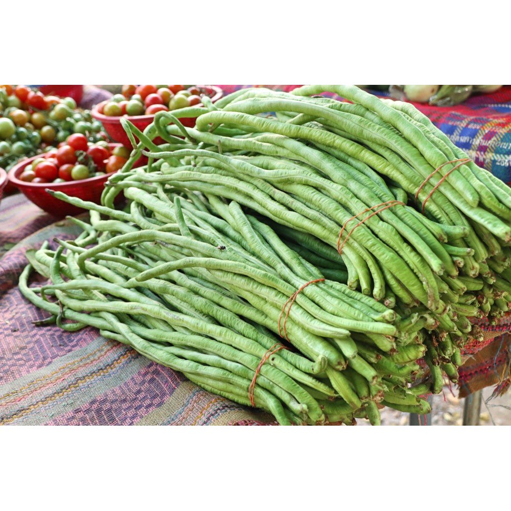 Hạt Giống Đậu Đũa F1 Loại Siêu Dễ Trồng, Dễ Thu Hoạch ( gói 500gram, 1kg)