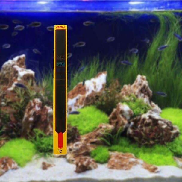 Nhiệt kế cảm biến LCD cho bể cá chất lượng cao