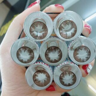 Kính áp tròng màu Choco