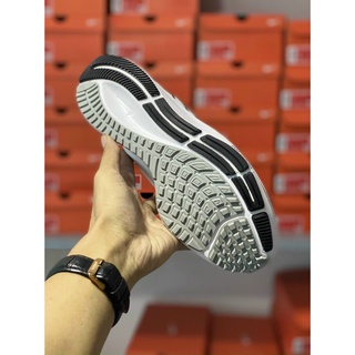Giày Thể Thao Nike Pegasus (Fullbox)