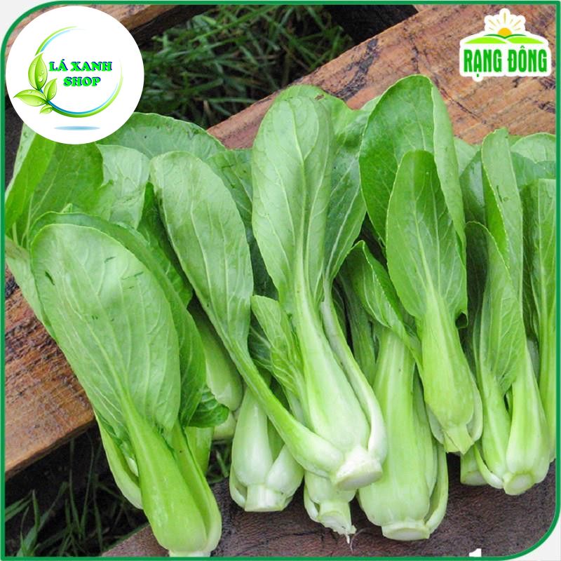 Hạt giống Cải Thìa Cọng Xanh (Cải Chip) Chịu Nhiệt, Dễ Trồng (gói 20 gram) - Hạt giống Rạng Đông