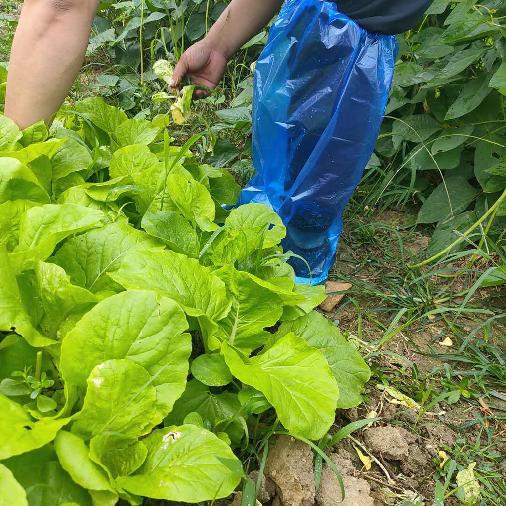 Vỏ Bọc Giày Chống Thấm Nước Chống Bụi Sử Dụng Một Lần Tiện Lợi