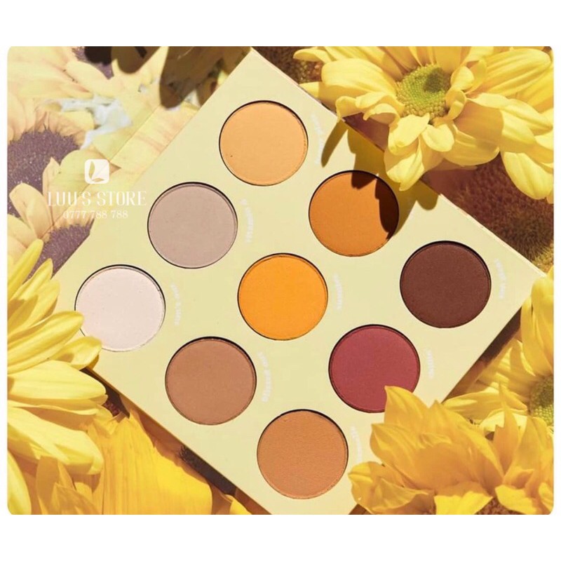 Bảng Phấn Mắt Colourpop Lil’ Ray Of Sunshine