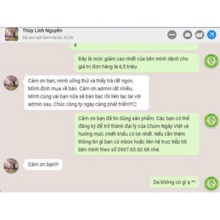 Trà chùm ngây túi lọc [MoriS]