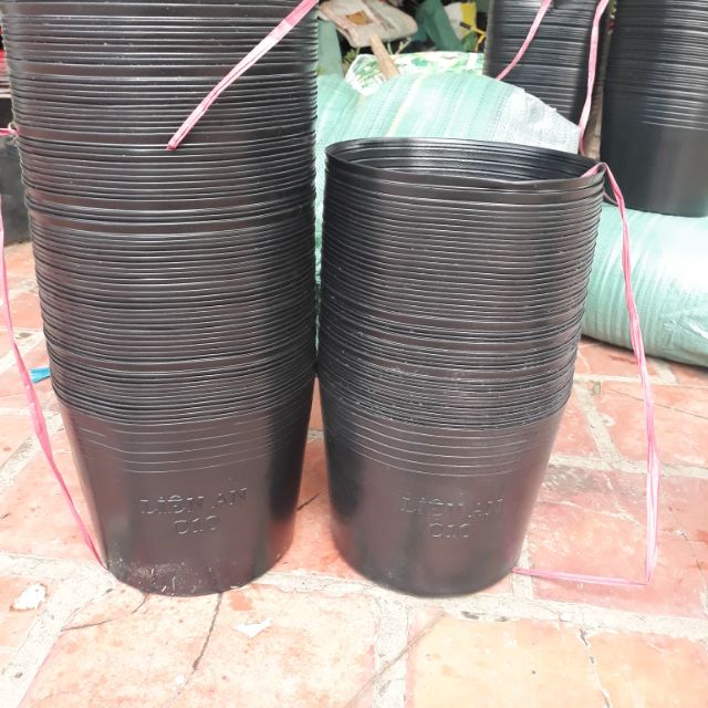 Chậu nhựa C10_50 cái_liên an