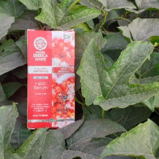 Serum dưỡng trắng Siberica