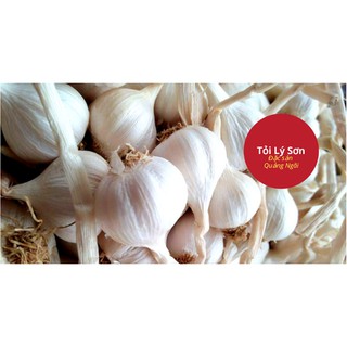 [FREESHIP 99K TOÀN QUỐC]Tỏi Lý Sơn đặc sản Quảng Ngãi - 1kg