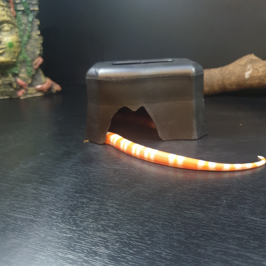 [Mã PET50K giảm Giảm 10% - Tối đa 50K đơn từ 250K] Hang trú ẩn cấp ẩm cho bò sát | Vietpetgarden