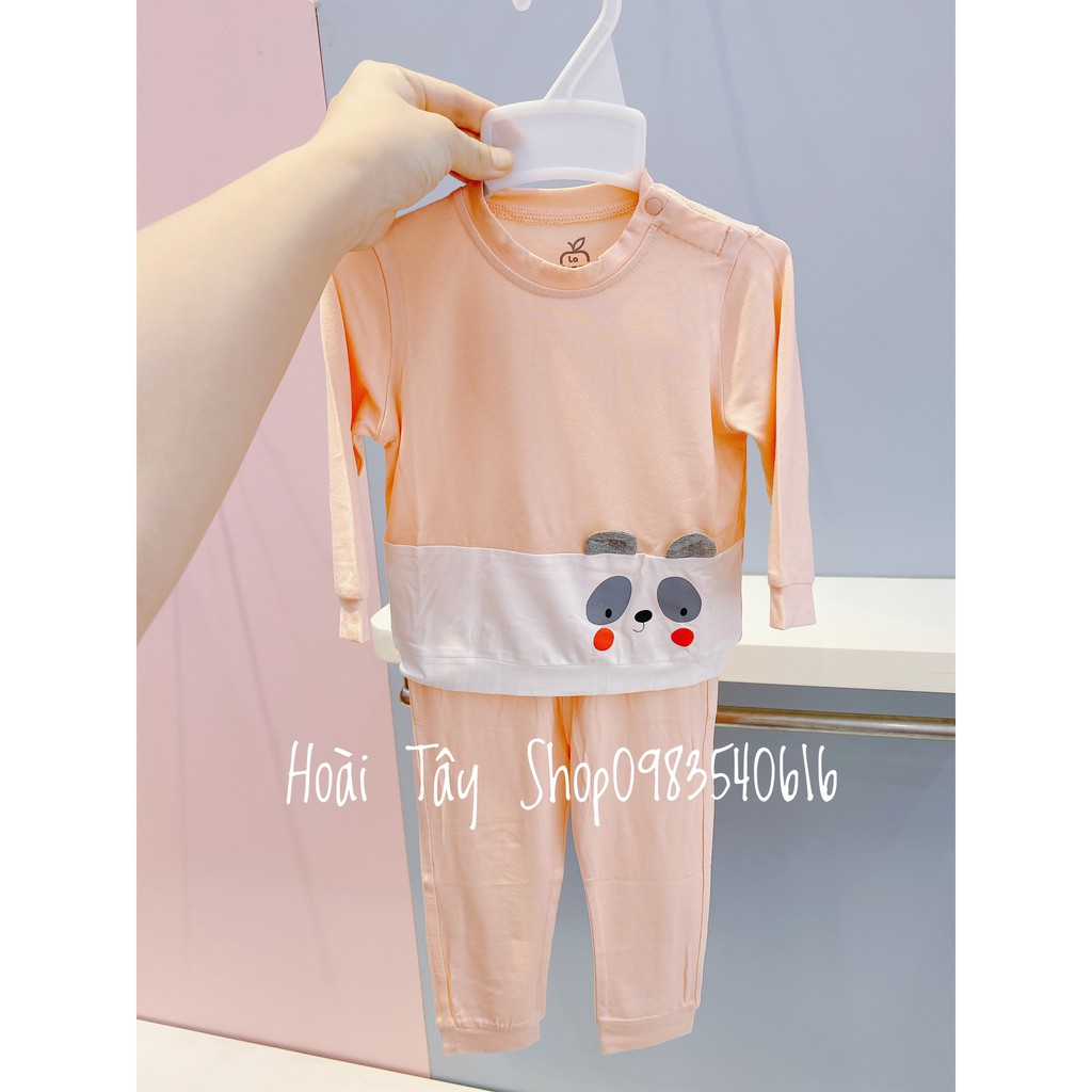 BỘ DÀI GẤU TRÚC