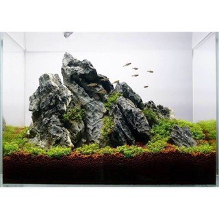 Đá Kẹp Kem  Cho Bể Thuỷ Sinh