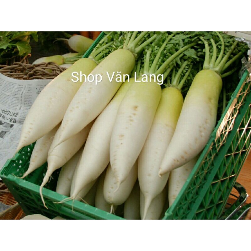 Củ cải trắng giòn ngọt mát lịm - túi 1 kg ship Hà Nội