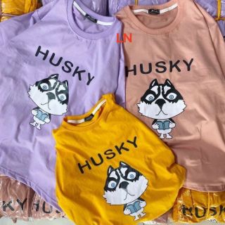 Áo phông chó husky