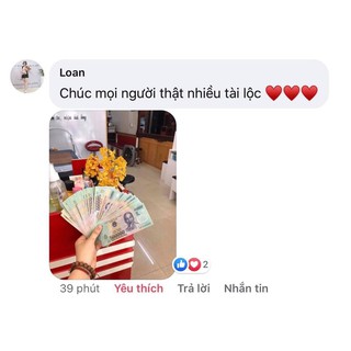 💰💰💰CÂY TÀI LỘC 💰💰💰