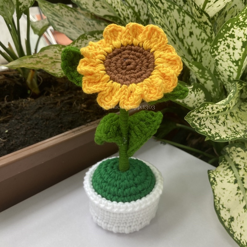 Chậu hoa hướng dương bằng len dùng để trang trí bàn học