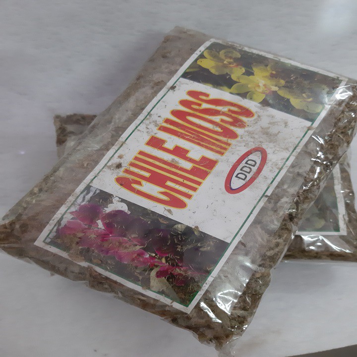 Dớn chile giữ ẩm cho lan - gói 100 gram