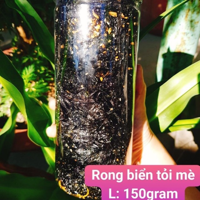 Combo Rong biển cơm cháy