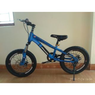 Xe đạp trẻ em Dragon 20 inch