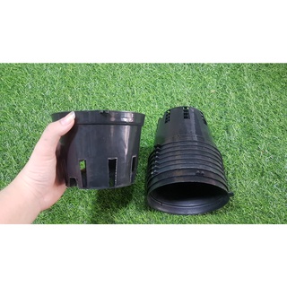 Combo 10 chậu đen trồng lan phi 14cm