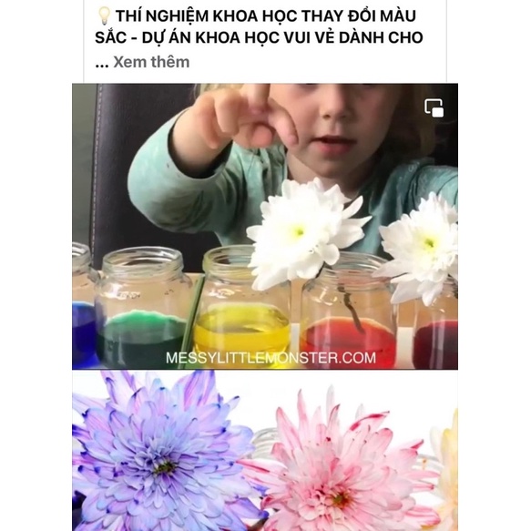 Combo 7 màu thực phẩm cho bé làm thí nghiệm khoa học vui sáng tạo