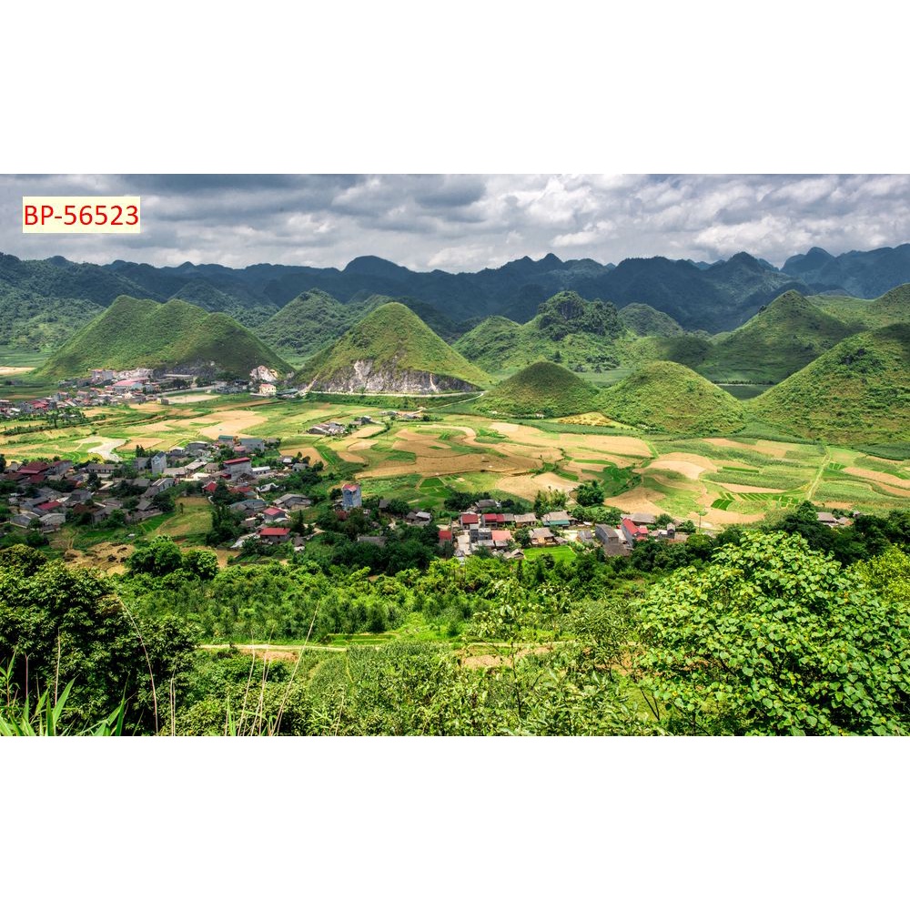 Tranh dán tường Việt Nam 3D HOT HIT