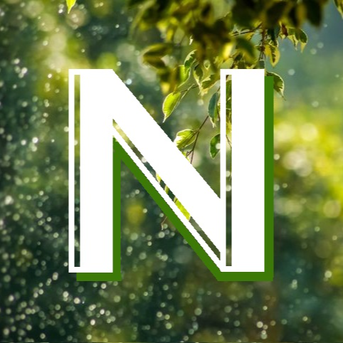 NeyuhGarden-caycanhchaucanh
