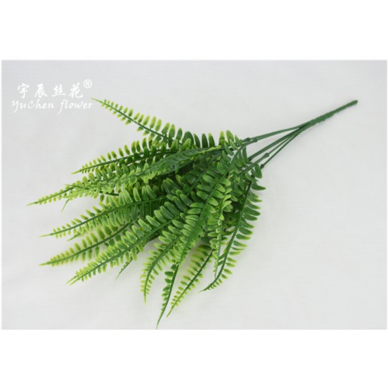 Cây dương xỉ Ba Tư giả tán rộng phù hợp decor trong và ngoại nội thất cao