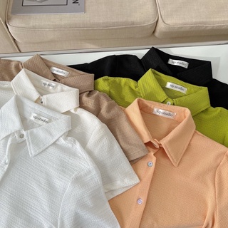 Áo polo croptop chất xốp mềm basic