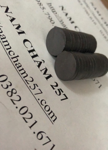 Nam châm Ferrite 20x5mm, nam châm đen tròn, nam châm đen trụ tròn