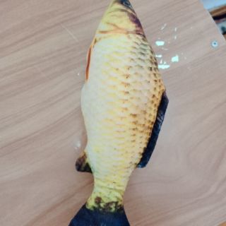 Cá nhồi bông cho chó mèo