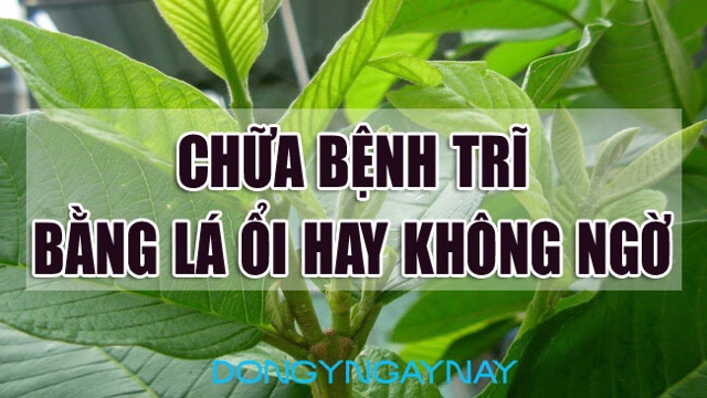 Bột Lá Ổi 100g