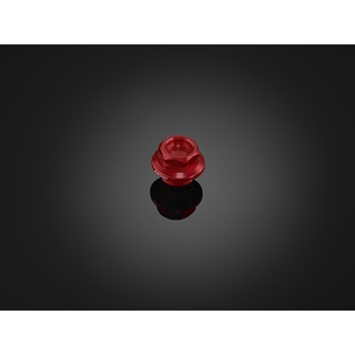Nắp nhớt BIKERS (M20x2.5) Mã: K0325.BLACK