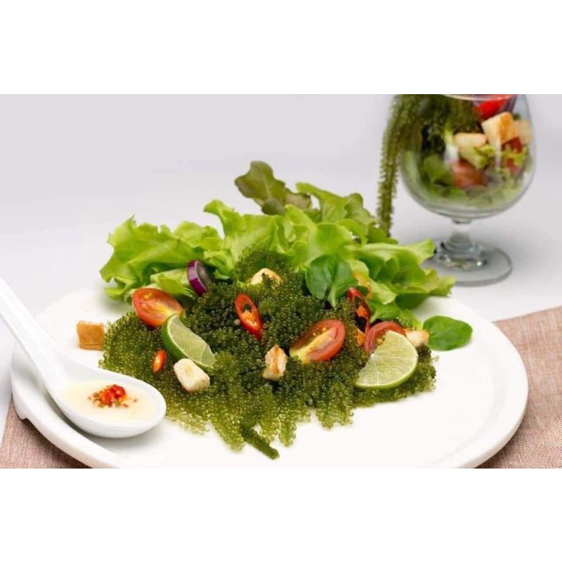 💥25g NỞ RA 70g💥Rong Nho Tách Nước KHÁNH HÒA - NHA TRANG - NỞ GẤP 3 LẦN Xuất Khẩu- Công Nghệ Tách Nước Tiêu Chuẩn Nhật | BigBuy360 - bigbuy360.vn