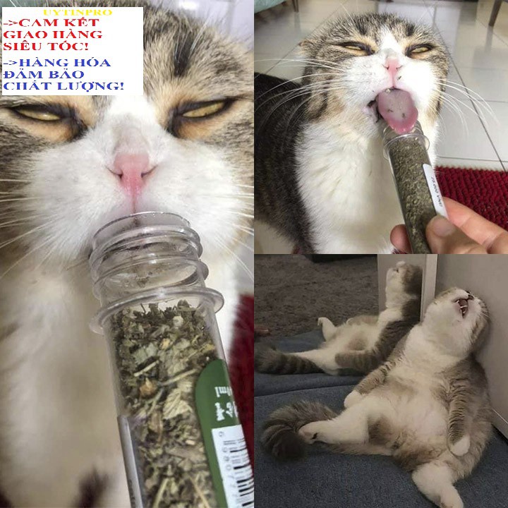 Ống cỏ Cat Mint cho Mèo Ống 10g Giúp thú cưng thư giãn, Xả stress, Bổ sung vitamin,Cân bằng dinh dưỡng, Tốt cho tiêu hóa