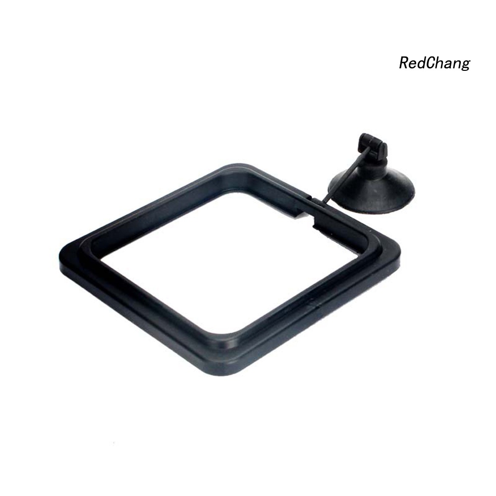 Fish Tank Floating Food Feeder Buoyancy Ring Suction Cup Pool Feeding Tool