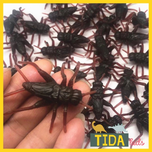 Combo 10 Dế Mèn Giả ⚡ Hot Trend ⚡ Đồ Chơi Côn Trùng Giả Bằng Nhựa, Trang Trí Halloween, Đồ Chơi Giải Trí TiDa Kid Shop