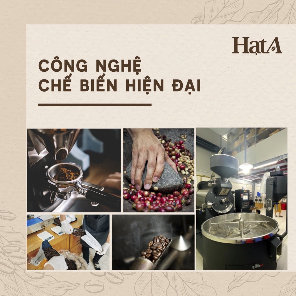 Cà phê pha phin Hạt A Cafe TRUYỀN THỐNG gu cà phê sữa nóng hương thơm, vị đậm, ngọt hậu 250g/500g/1000g