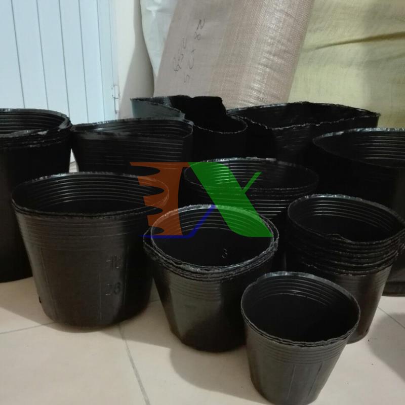 Combo 2000 cái Bầu nhựa ươm cây BHS, Bầu Hoa Sen (23*18cm)