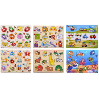 Combo 6 bảng núm gỗ thế giới xung quanh - hoa quả, công cụ gia đình, giao thông, côn trùng, thú rừng, biển BN11